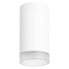 Накладной светильник lightstar rullo r4363437