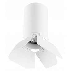 Накладной светильник lightstar rullo r436436