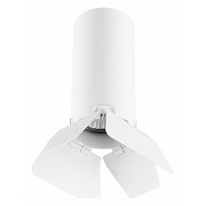 Накладной светильник lightstar rullo r486436