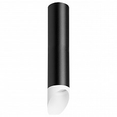 Накладной светильник lightstar rullo r49736