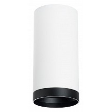 Накладной светильник lightstar rullo r64863487