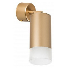 Спот lightstar rullo rb4401031