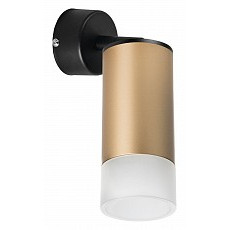 Спот lightstar rullo rb44031