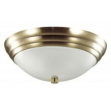 Накладной светильник lumion kayla 5262-2c