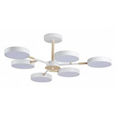 Люстра на штанге lumion brad 5652-99cl