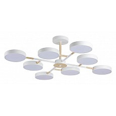 Люстра на штанге lumion brad 5653-99cl