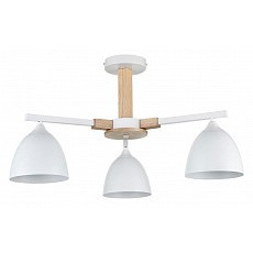 Люстра на штанге lumion colange 809...