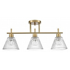 Светильник на штанге lumion vivian 8188-3c