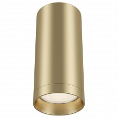 Накладной светильник maytoni focus c010cl-01mg