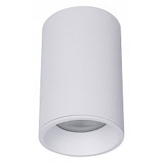 Накладной светильник maytoni zoom c029cl-01-s-w
