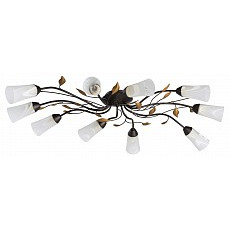 Потолочная люстра mw-light Восторг 15 242015410