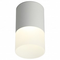 Накладной светильник omnilux ercolano oml-100009-05