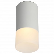 Накладной светильник omnilux lucido oml-100609-01