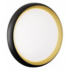 Накладной светильник sonex tofiq black 7651-dl