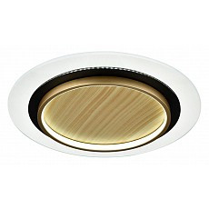 Накладной светильник sonex sunny 77...
