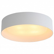 Накладной светильник st-luce chio sl392.502.04