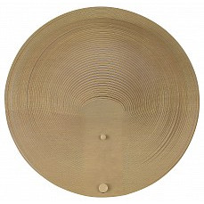 Накладной светильник st-luce fossil sl6900.501.16
