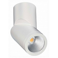 Светильник на штанге st-luce st650 st650.542.10