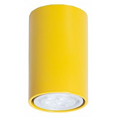 Накладной светильник topdecor tubo ...