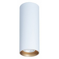 Накладной светильник topdecor tubo ...