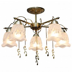 Потолочная люстра toplight delia tl1195x-05ab