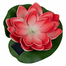 Растение uniel waterlily ul-00011599