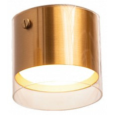 Накладной светильник wolta oro wsl-gx53 wsl-gx53-07g