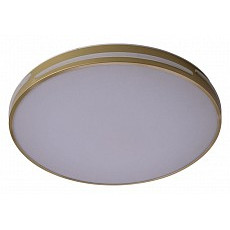 Накладной светильник zortes gabby zrs.90610.50